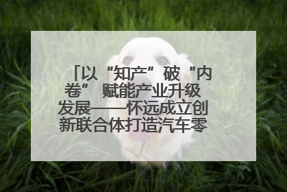 以“知产”破“内卷” 赋能产业升级发展——怀远成立创新联合体打造汽车零部件产业新高地